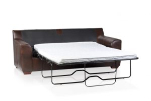 Sleeper Sofa